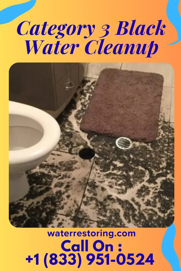 Category 3 Black Water Cleanup in Tullahassee, OK